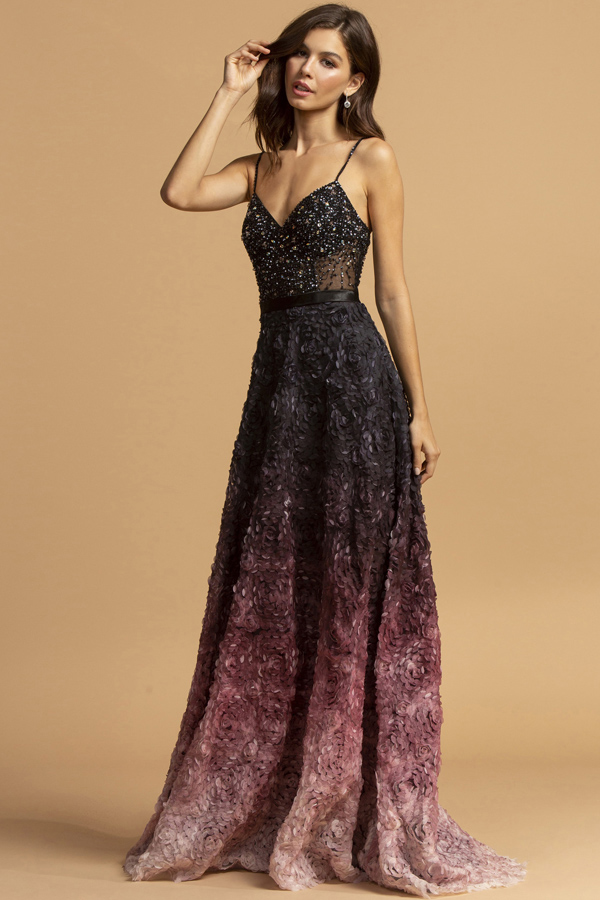 3D Rose Applique Embellished Top A Line Ombre Dress